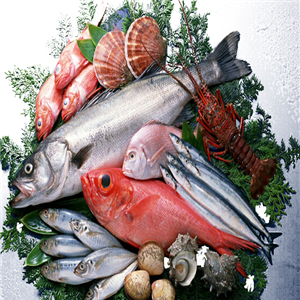 南方水產品加盟 把握商機，開拓水產品市場新藍海