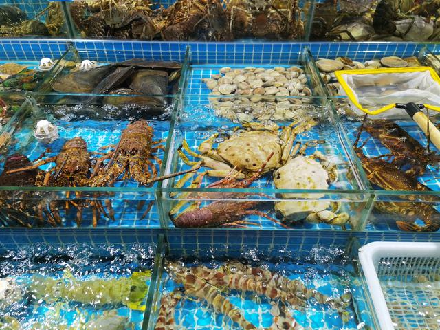 高端水產品價格探秘 為何一些水產售價如此昂貴？