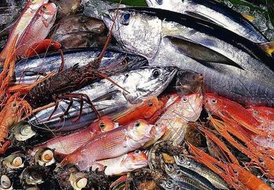 阜新冷凍水產(chǎn)品海關(guān)通關(guān)新政策解析 以雪蟹為例