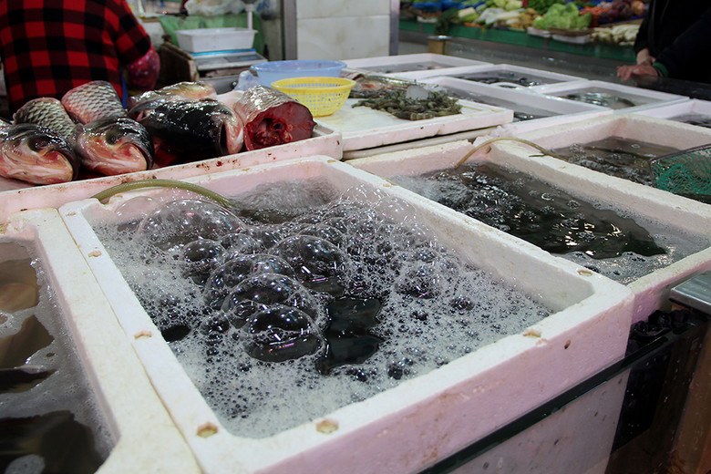 菜市場生鮮水產(chǎn)魚類 從市井煙火到餐桌美食的鮮活圖景